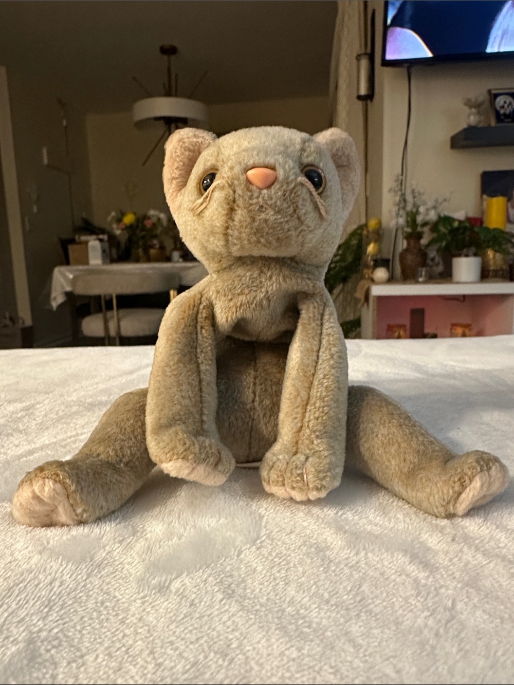 Soft Tan Plush Kitten Stuffed Animal beanie baby collection TY
